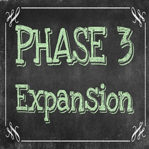Phonics Phase 3: Expansion